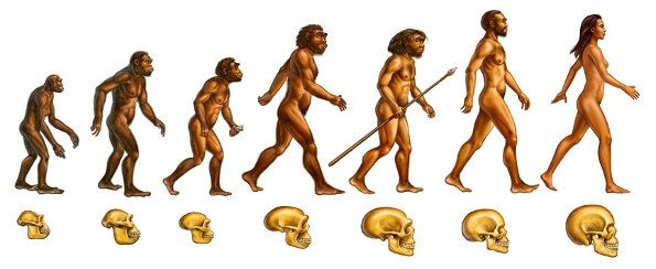 Contribucion de Darwin a la teoria de la evolucion