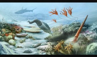 Datos de la Era Paleozoica