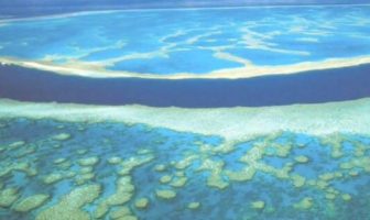 gran-barrera-coral