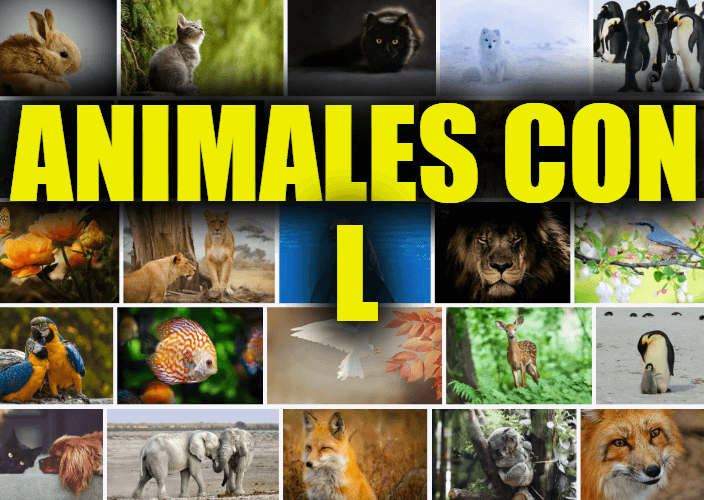 Animales con L, Lista y Descripciones de Animales que Comienzan con la Letra L