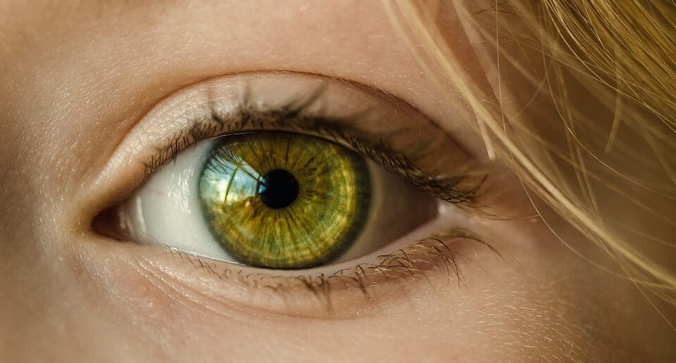 ¿Qué hace el ojo humano?