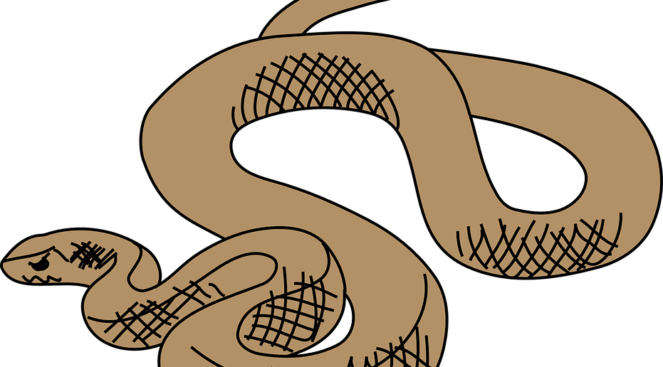 serpiente marron