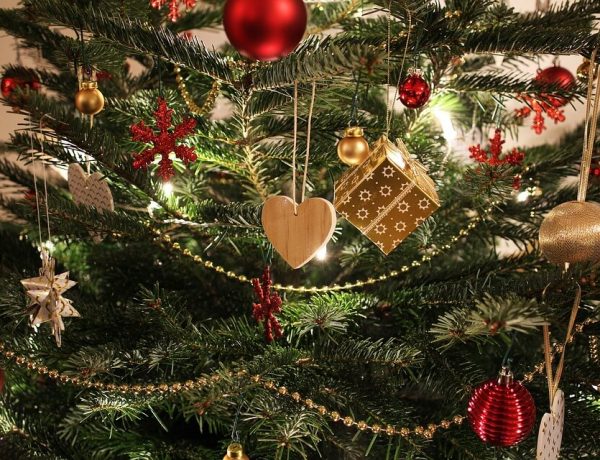 Frases sobre el árbol de navidad, Cotizaciones de árboles de Navidad
