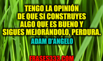 Frases de Adam D'Angelo