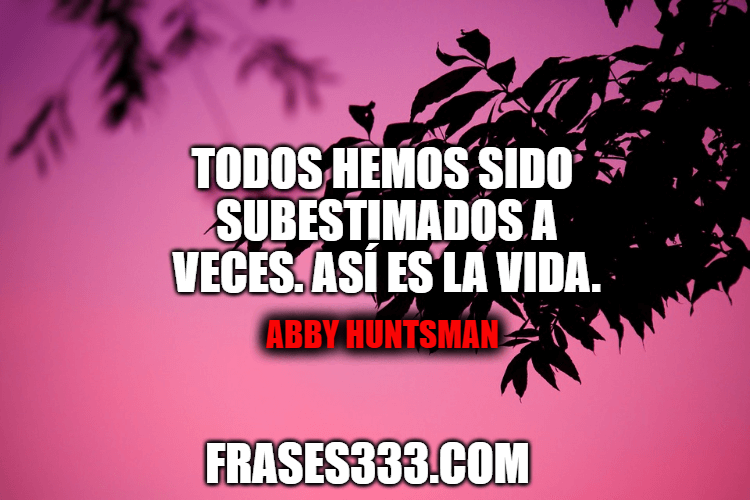 Frases de Abby Huntsman