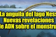 La anguila del lago Ness - Nuevas revelaciones de ADN sobre el monstruo
