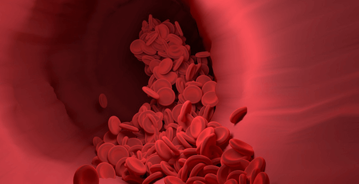 ¿Cuál es la definición de glóbulo rojo? Información sobre los glóbulos rojos