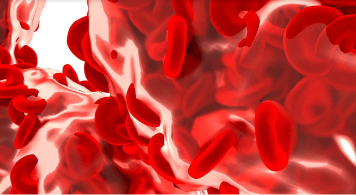 Función de la hemoglobina: ¿cuál es la definición de hemoglobina?