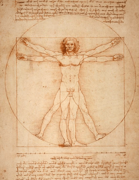 Leonardo Da Vinci Obras y pensamientos - ¿Qué hizo Leonardo Da Vinci?
