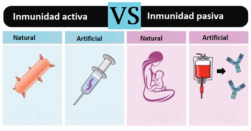 inmunidad activa y pasiva