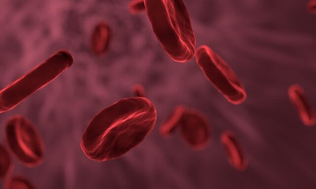 ¿Cómo entran y salen los materiales de los vasos sanguíneos?