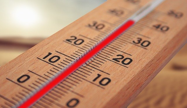 ¿Por qué la temperatura es importante para la vida?