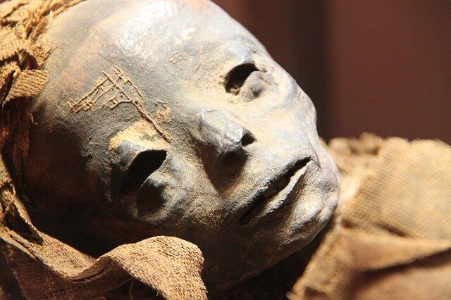 Antiguo Egipto: Estilo de Vida (Familia, Comida y Bebida, Ropa y Recreación)