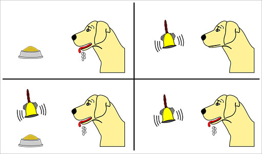 Experimento del perro de Ivan Pavlov: ¿qué es el reflejo condicionado?