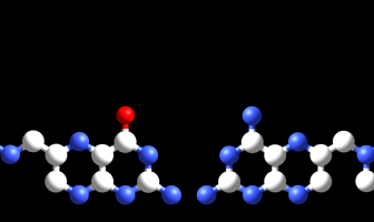 Metotrexato y ácido fólico comparados.