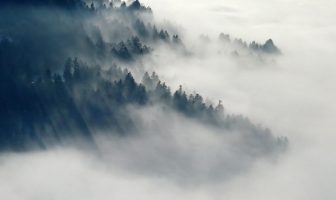 ¿Qué hace la niebla y las nubes?