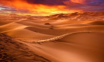 Información sobre desiertos - Tipos de desierto - Clima y accidentes geográficos