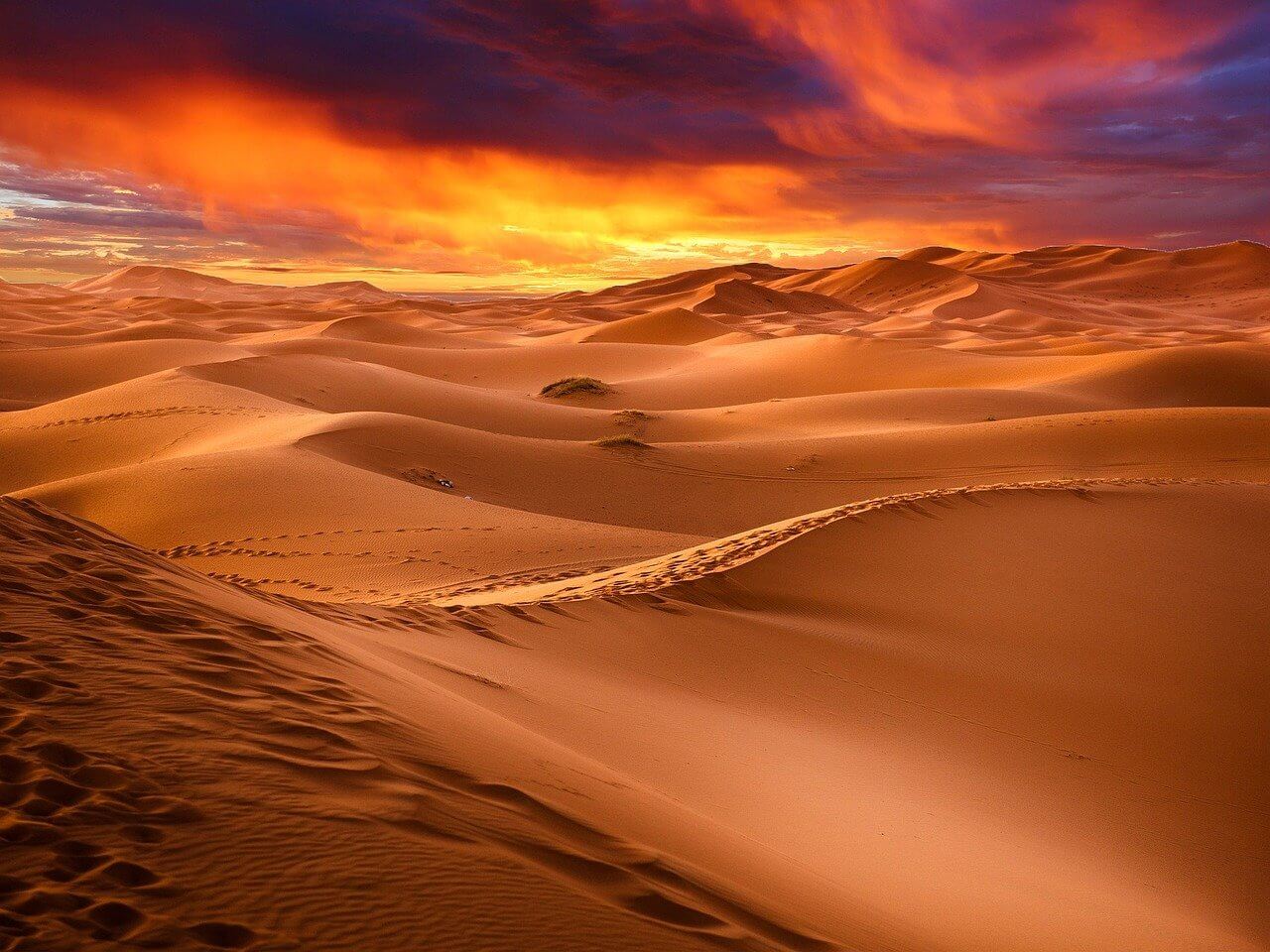 Información sobre desiertos - Tipos de desierto - Clima y accidentes geográficos