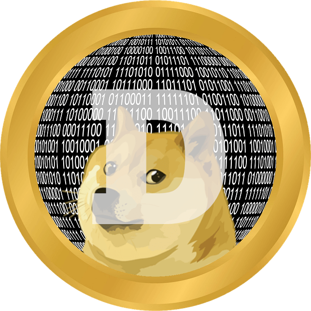 Doge Coin