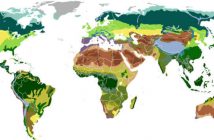 ¿Cuáles son los principales biomas del mundo?