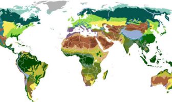 ¿Cuáles son los principales biomas del mundo?