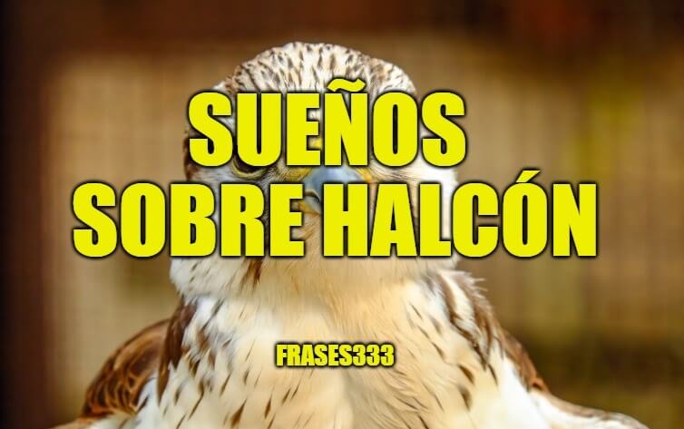 halcon