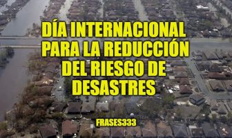 Día Internacional para la Reducción del Riesgo de Desastres