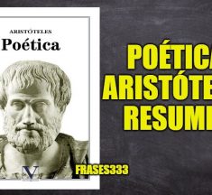Poética (Aristóteles), Sobre la poética Libro Resumen, Reseña