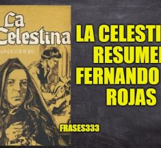 La Celestina Resumen y Análisis, Libro de Fernando de Rojas