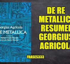 De Re Metallica Resumen y Análisis del Libro, Georgius Agricola