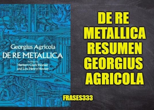 De Re Metallica Resumen y Análisis del Libro, Georgius Agricola
