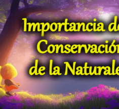 Importancia de la Conservación de la Naturaleza: Protegiendo nuestro Futuro