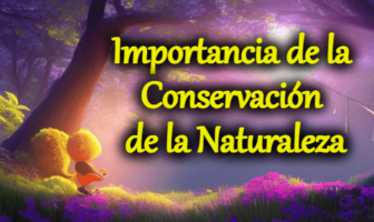 Importancia de la Conservación de la Naturaleza