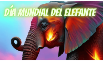 Día Mundial del Elefante